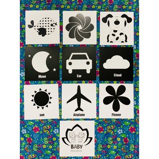 Kích thích thị giác Flashcard Glenn Doman 20 hình đen trắng 16x16 cm cho trẻ sơ sinh