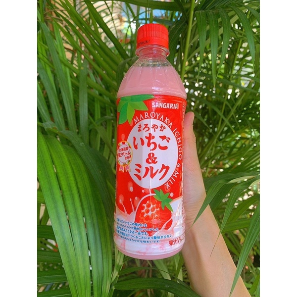 SỮA MILKY RAIN, SỮA TRÁI CÂY | BigBuy360 - bigbuy360.vn