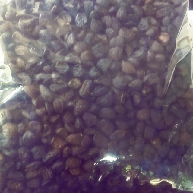 Hạt dổi