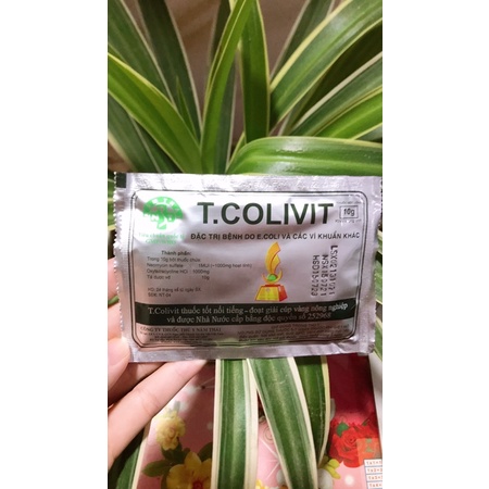 T.colivit 10g - đặ.c t.r.ị phân xanh , phân trắng, phân nhớt vàng...