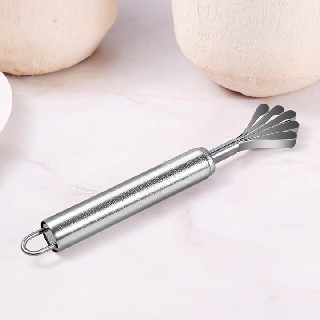 DỤNG CỤ ĐÁNH VẢY CÁ- NẠO DỪA