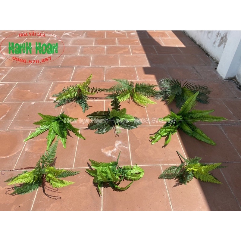 Cây/cụm dương xỉ các loại cho tường cỏ, decor , cây xanh- Cây lá giả