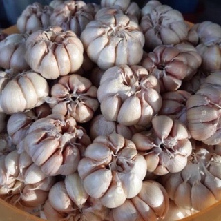 1kg Tỏi khô ở quê