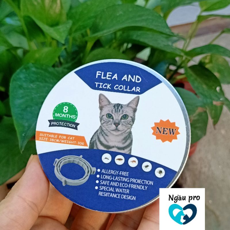 Vòng Cổ phòng trị ve bét chấy rận cho chó mèo - Dây đeo Cổ diệt ký sinh trùng trên lông da chó - Flea And Tick Collar