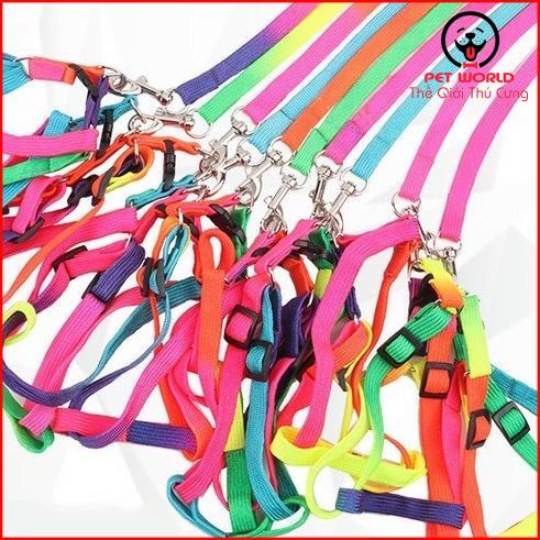 Dây Dắt Đai Người Cầu Vồng Cho Chó Mèo Dưới 5kg