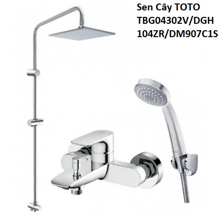 Sen Cây TOTO TBG04302V/DGH104ZR/DM907C1S Nóng Lạnh