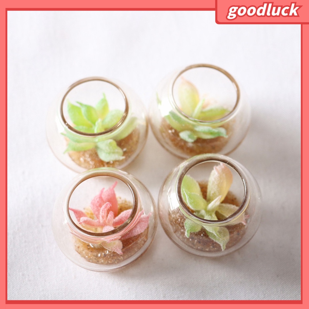 Đồ trang trí chậu cây mini màu sắc ngẫu nhiên trang trí bể cá