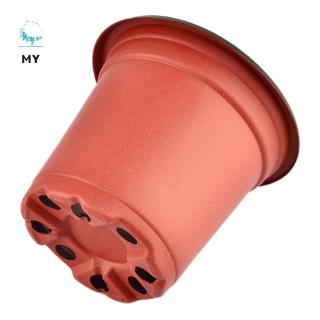 100 Chậu Nhựa Trồng Cây