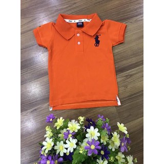 Áo phông có cổ cho bé trai bé gái