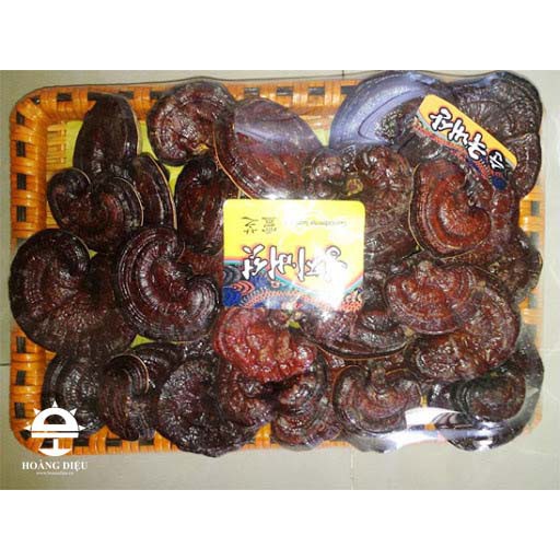 Bào tử Nấm linh chi đỏ thượng hạng nhập khẩu Hàn Quốc khay tre loại 1kg | BigBuy360 - bigbuy360.vn