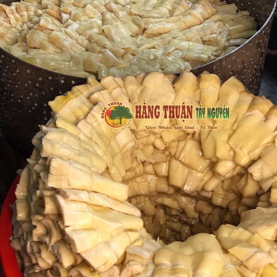 MĂNG KHÔ RỪNG KON TUM