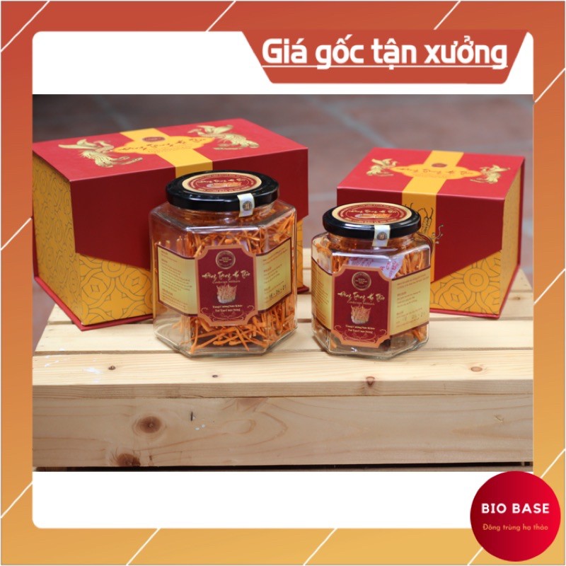 Đông Trùng Hạ Thảo - Viện Hàn Lâm KH&CN Việt Nam (Sấy Thăng Hoa) - Loại Cao Cấp