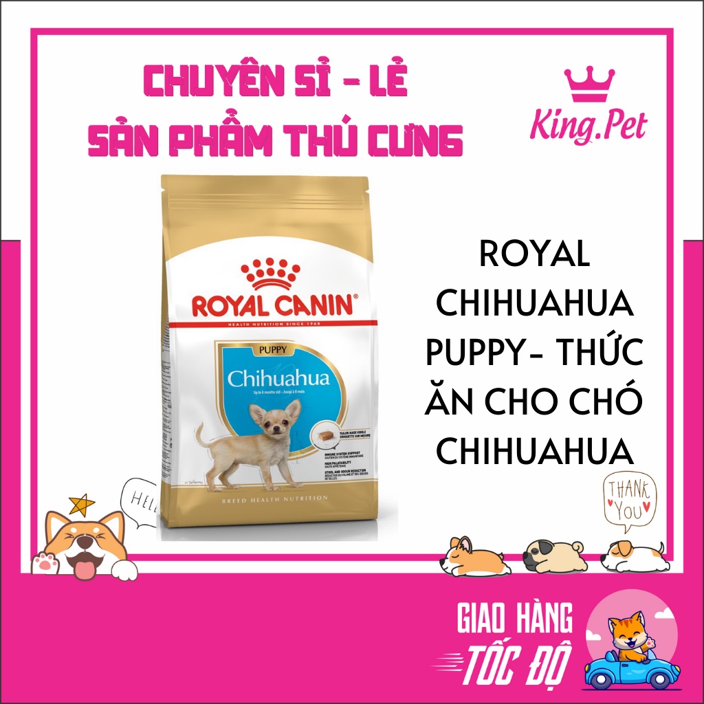 ROYAL CHIHUAHUA PUPPY- THỨC ĂN CHO CHÓ CHIHUAHUA