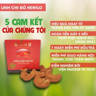 [Hewilo Herbs] Nấm Linh Chi | Cắt lát sẵn