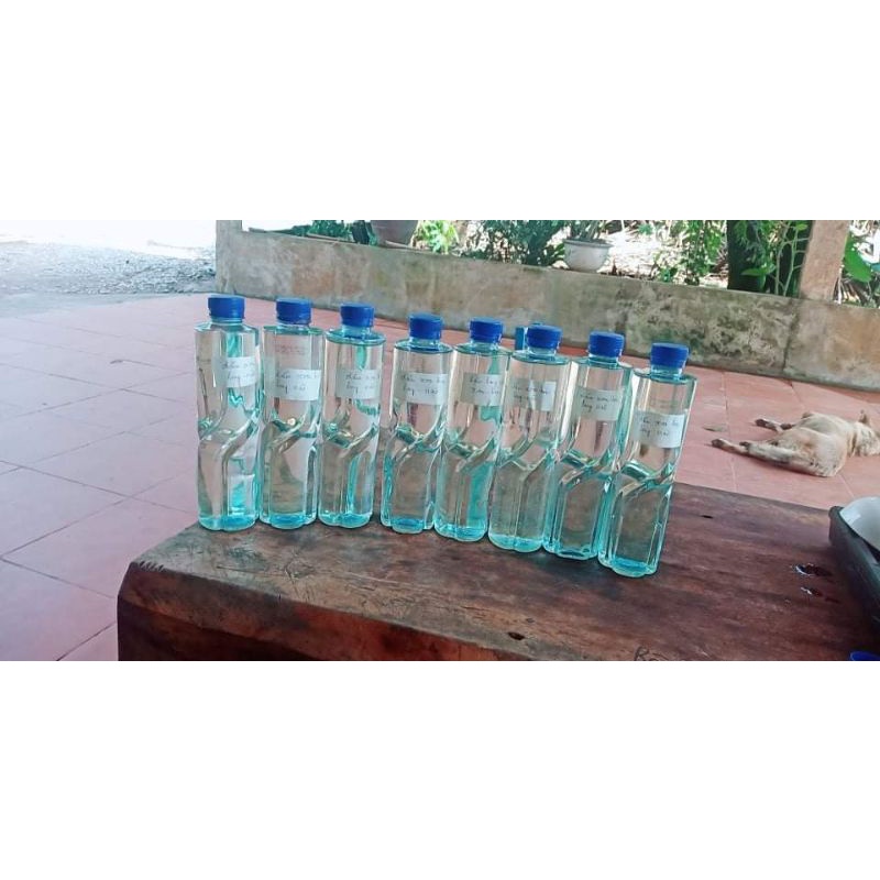 Tinh dầu long não (50ml)