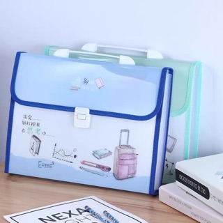 File Tệp hồ sơ tài liệu dạng cặp xách có quai 12 ngăn nhựa trong in hoạ tiết đáng yêu xinh xắn có sẵn giá rẻ size to