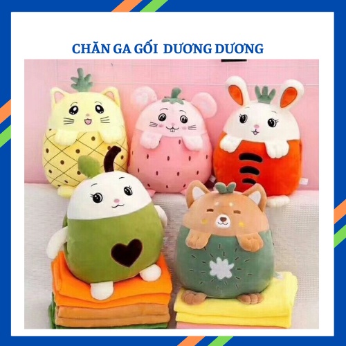 Bộ gấu bông kèm mền quả dâu dứa bơ kiwi cà rốt
