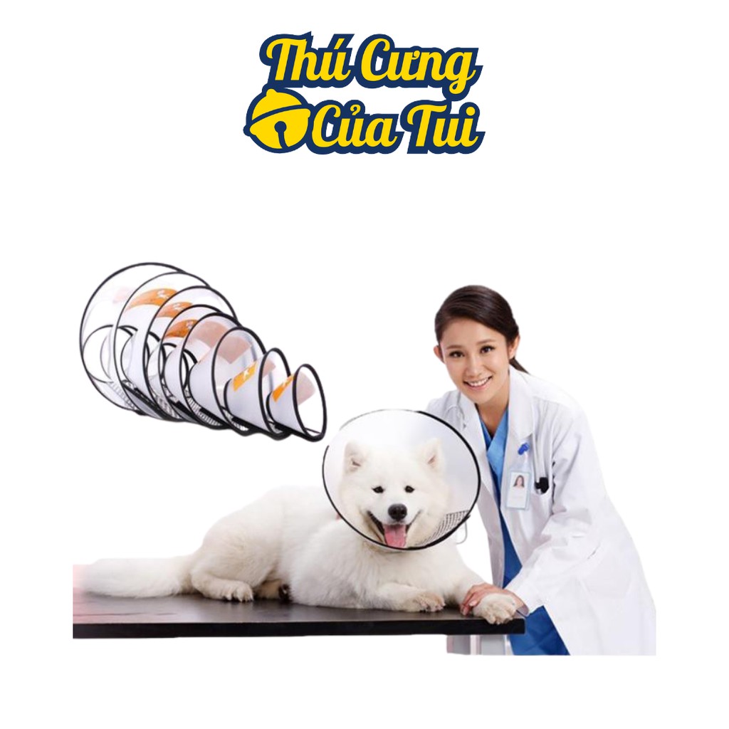 Vòng Cổ Loa Chống Liếm Dogstory Cho Thú Cưng Chó Mèo - Thú Cưng Của Tui