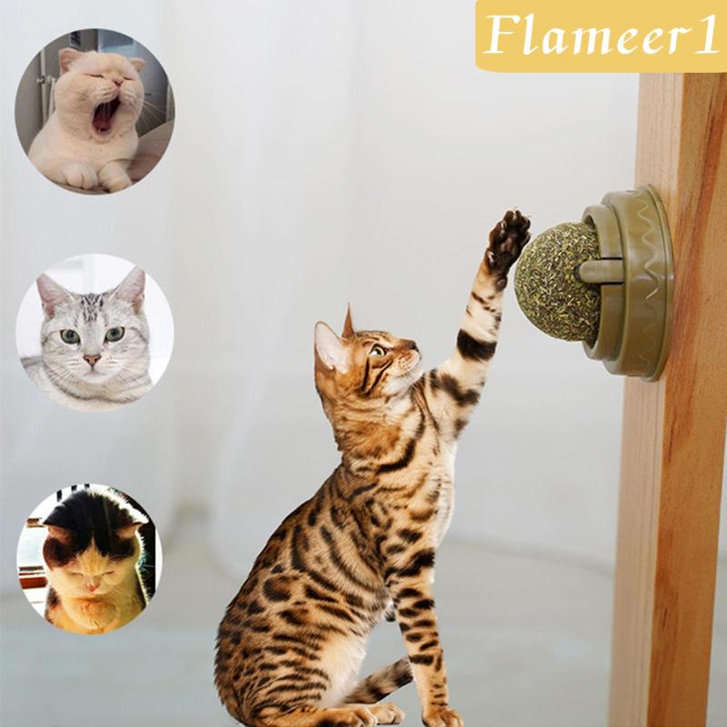 [Flameameer1] Quả Bóng Bạc Hà Tự Nhiên Làm Sạch Răng Nuôi Dưỡng Gắn Tường Cho Mèo