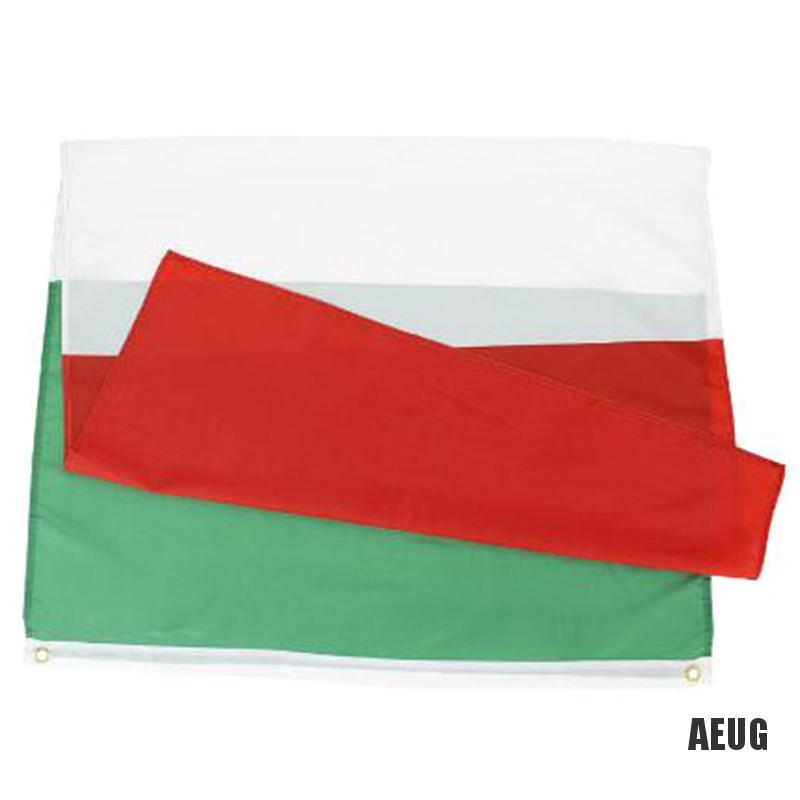 [AIU]  90*150cm Green White Red Ita It Italy Italian Flag For Decoration