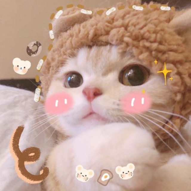 honeybae