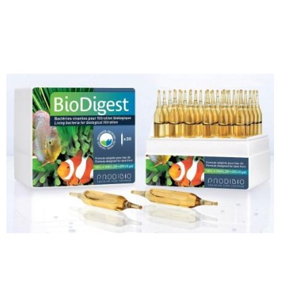 Vi sinh sống cho bể cá nước biển và nước ngot Biodigest va stop ammo