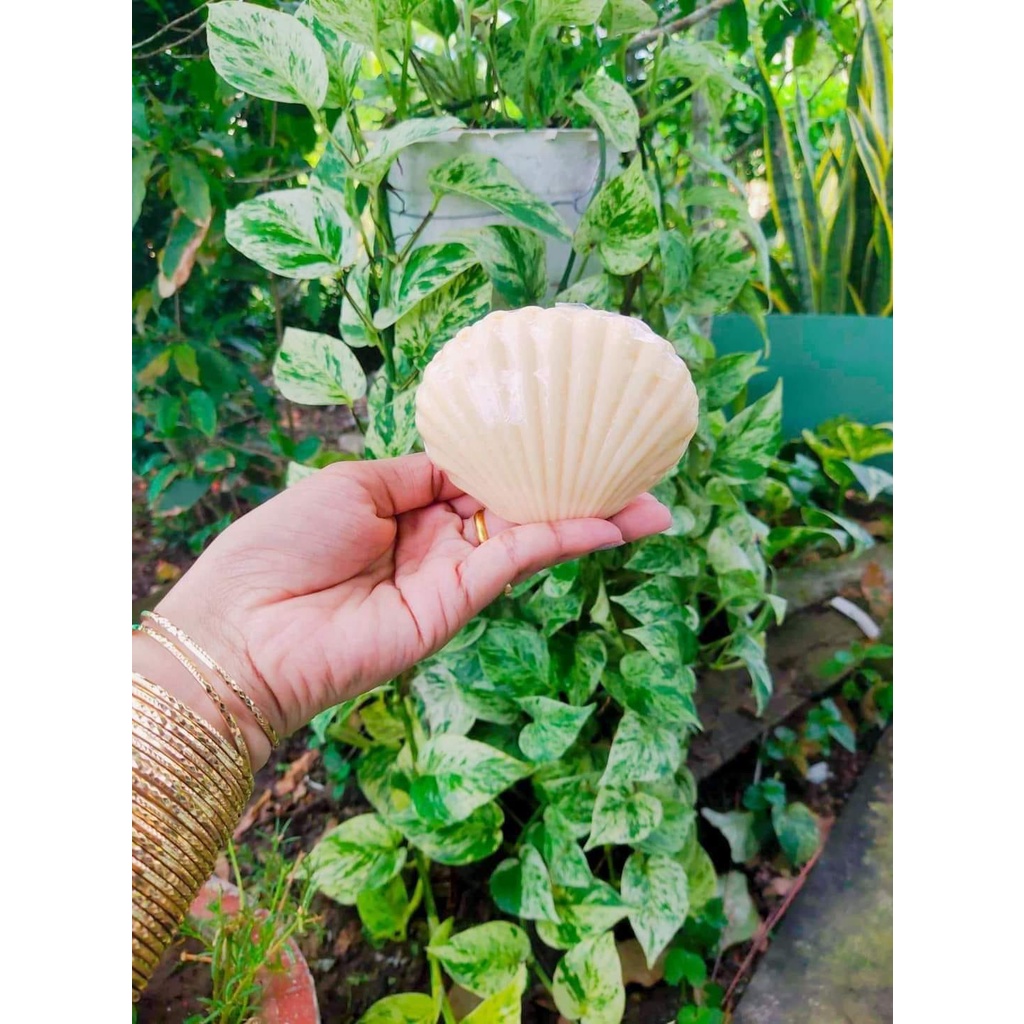 Xà phòng tăng vòng 1 mị hương, xà phòng nở ngực mị hương, bột giảm mỡ bụng mị hương