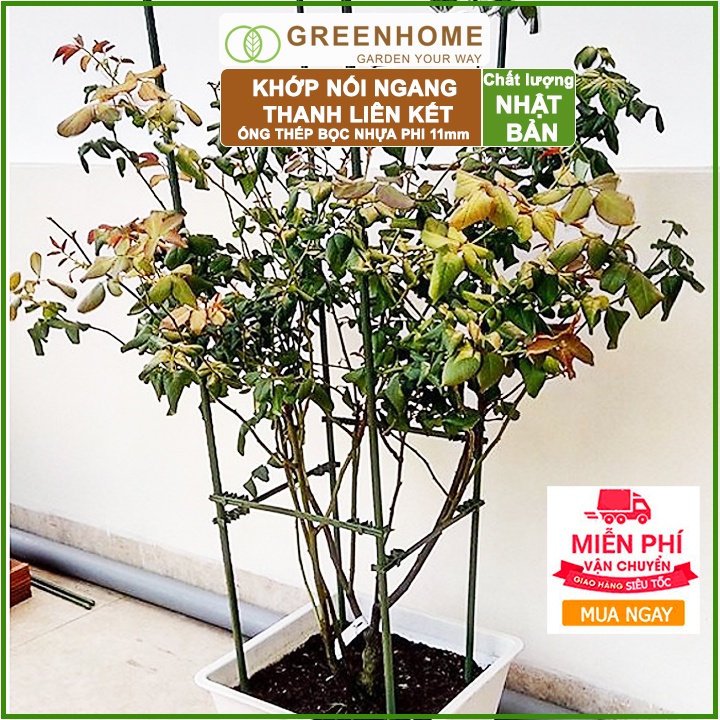 Bộ 5 Thanh liên kết ống phi 11mm, Nhật Bản, Daim, hỗ trợ làm khung, giàn cây leo, dễ lắp ráp |Greenhome