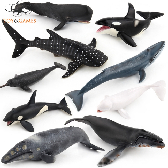 Mô hình chú cá voi đồ chơi cho bé Mô phỏng động vật biển cá voi mô hình đồ chơi đồ trang trí