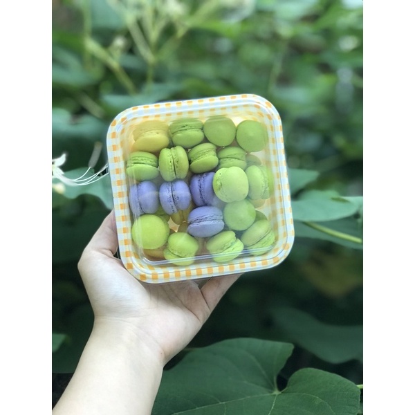 set macaron mini 50c