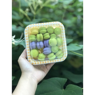 Set macaron mini 50c