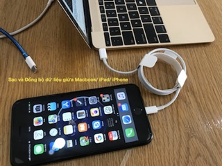 CÁP CHUYỂN ĐỔI LIGHTNING SANG USB TYPE-C APPLE MQGJ2FE/A