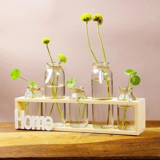 Kệ Hoa Home Cắm Hoa, Trồng Cây Tặng Kèm 5 Lọ Thủy Tinh