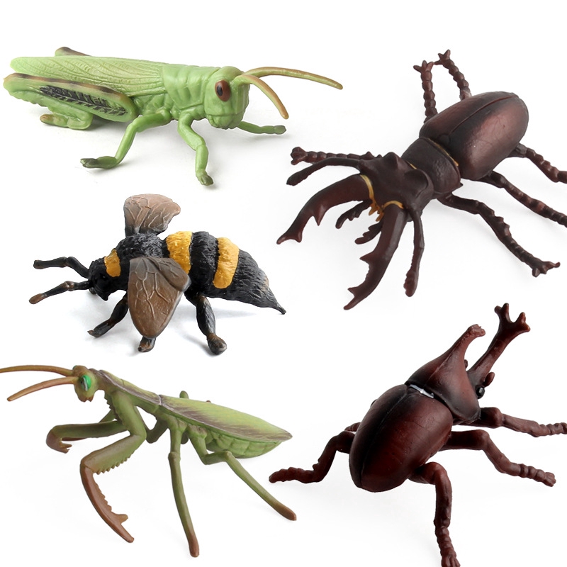 Mô phỏng mô hình động vật côn trùng khoa học giáo dục trẻ em món quà đồ chơi nhận thức