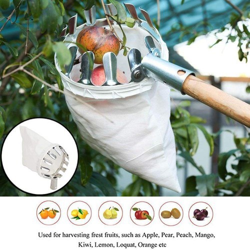 [16cm - Size lớn] Dụng cụ hái trái cây trên cao tặng kèm túi vải