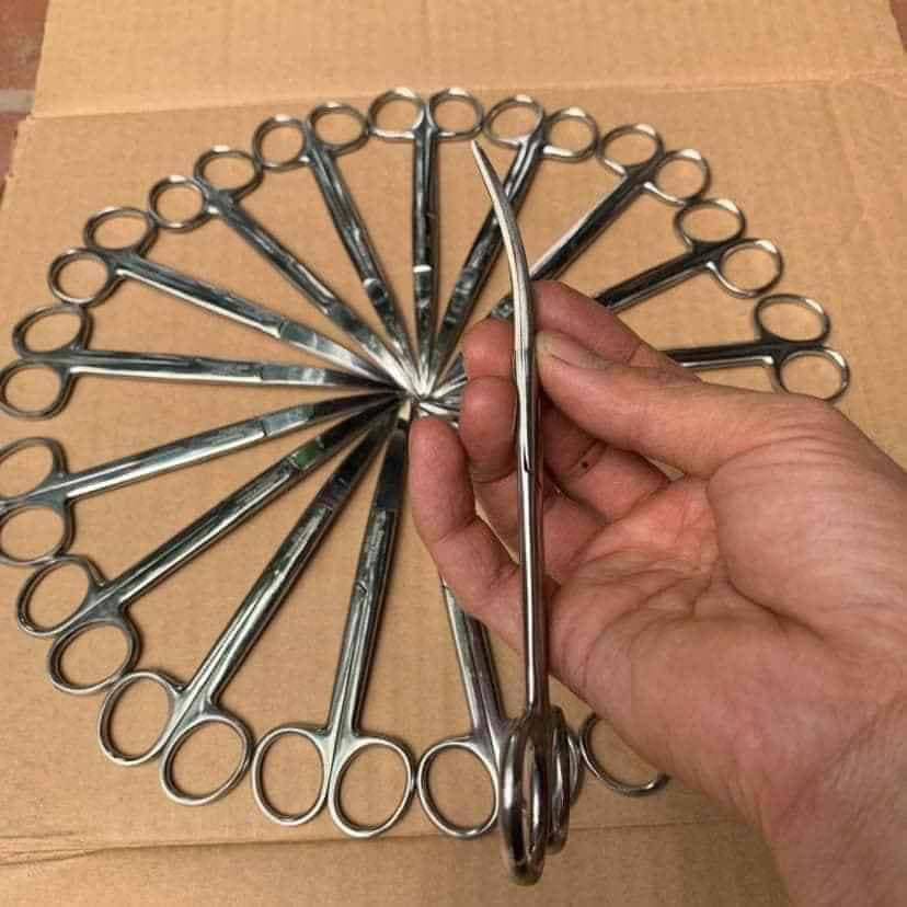 Kéo cong inox cắt tỉa lông, tai, tích gà đá