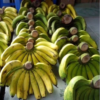 CHUỐI LABA ĐÀ LẠT 1 NẢI (2–3KG) | NOWSHIP