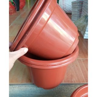 30 chậu nhựa rộng 24cm x17cm