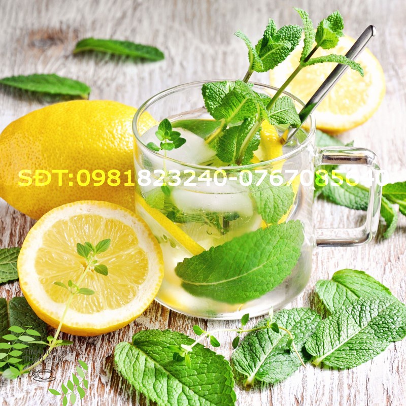 (ảnh thật + video) Trà bạc hà - Lá bạc hà sấy khô làm thuốc, đắp mặt 1 lọ