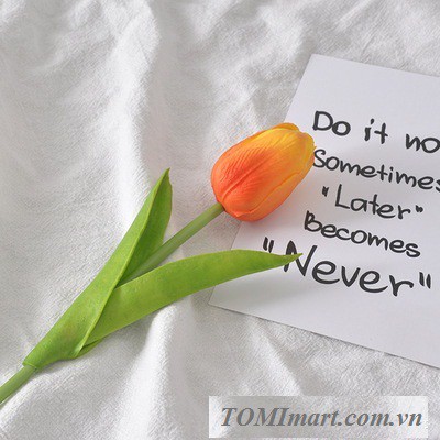 Đạo cụ chụp hình - Hoa tulip cao cấp