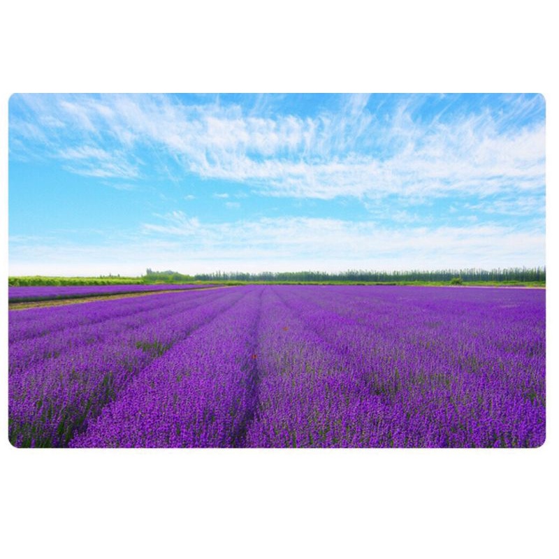 Túi thơm Lavender cho tủ quần áo, phòng ngủ, xe hơi....