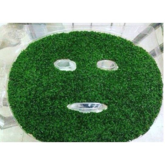 Mặt nạ mầm tảo