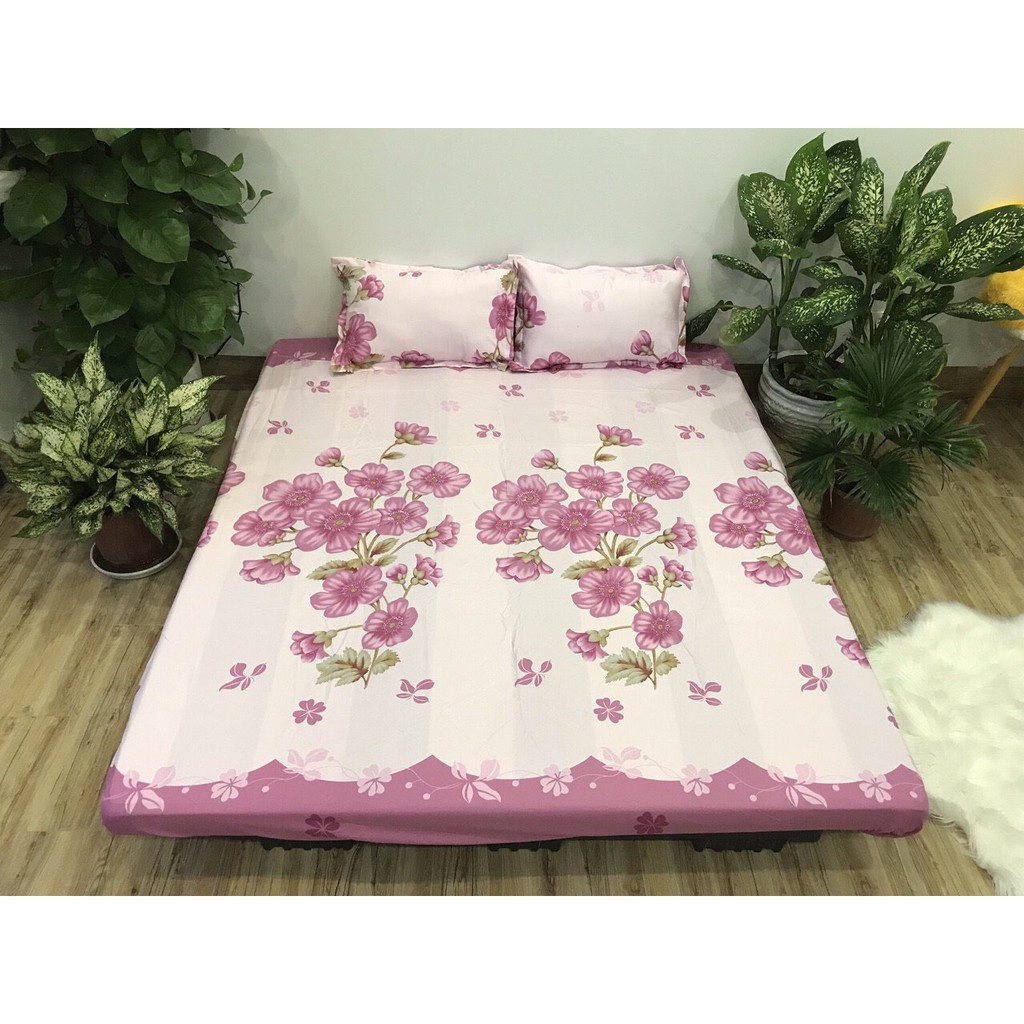 Bộ Ga gối Cotton Poly Emmidecor Các Mẫu Hoa