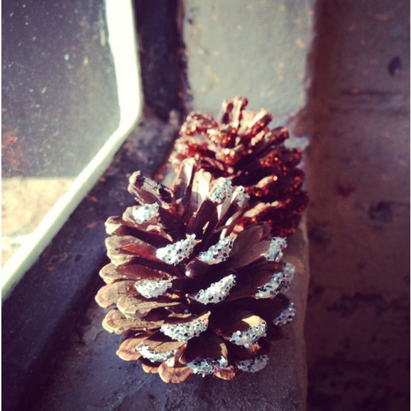 Quả Thông Tự Nhiên