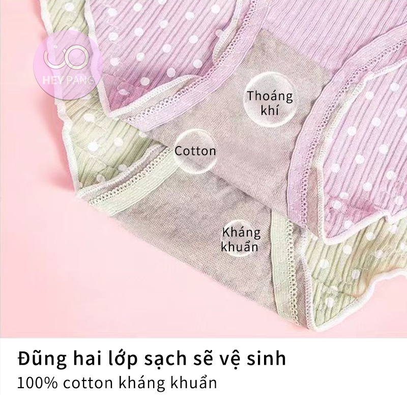 Quần lót nữ cotton chấm bi viền bèo nhún  HEYPANG phối ren nơ ngọt ngào chất liệu cao cấp co dãn VN038