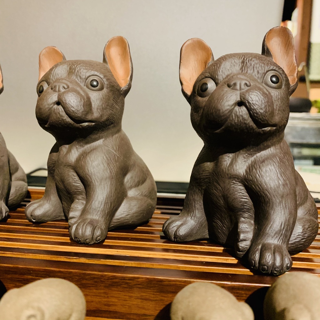 Pet bull tử sa đặt bàn trà