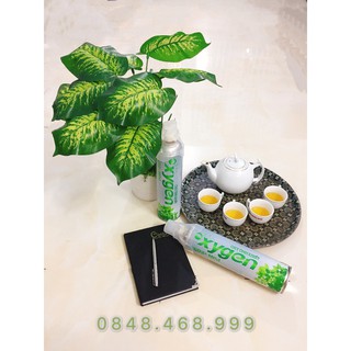 Bình khí oxy mini - Sỉ số lượng lớn 1000 bình