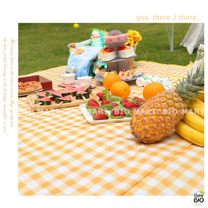 Thảm dã ngoại chống nước kẻ sọc picnic chống thấm nước gấp gọn tiện lợi kích thước lựa chọn - P013