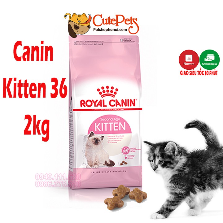 Thức ăn cho mèo con Royal Canin Kitten 36 2kg Hạt mèo cao cấp từ Pháp - Cutepets