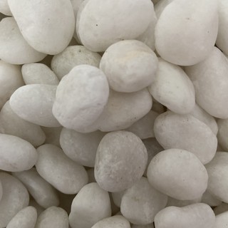 1KG SỎI TRẮNG TRANG TRÍ CHẬU HOA, SÂN VƯỜN